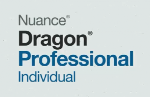 Dragon Professional Individual Logo